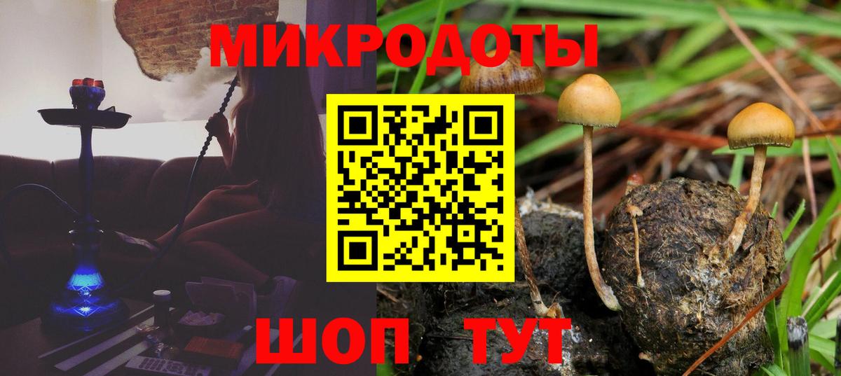 Галлюциногенные грибы Magic Shrooms  Вход с VPN  где купить наркотик  Куйбышев 
